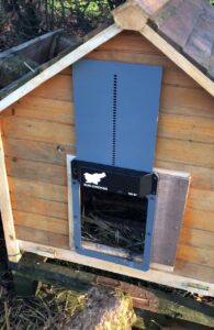 porte automatique poulailler run chicken marion 1 (2)