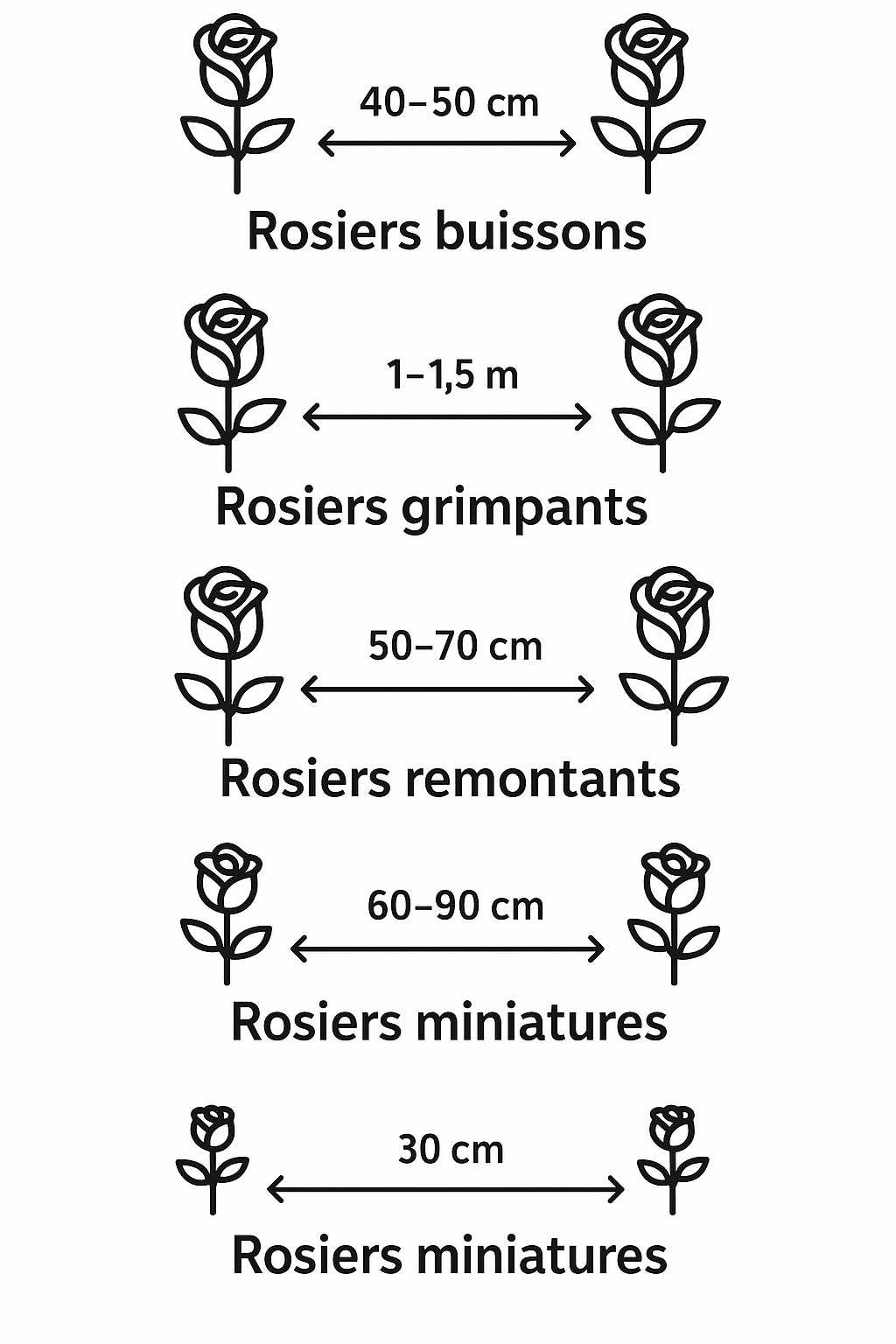 rosier distance plantation 1