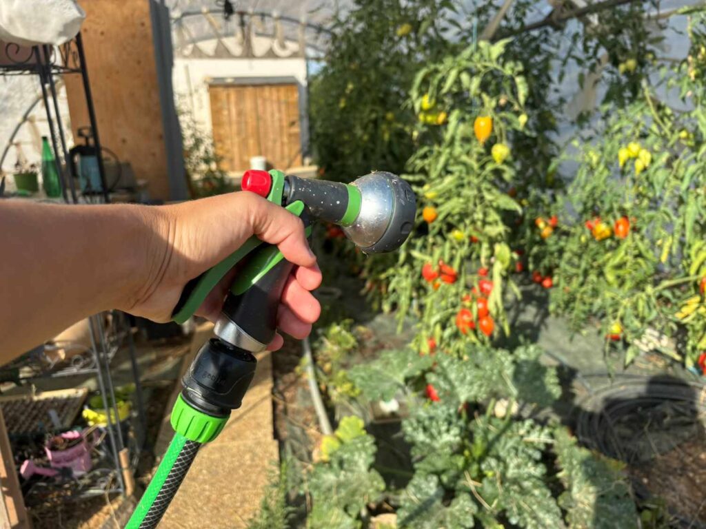 lance arrosage main 2