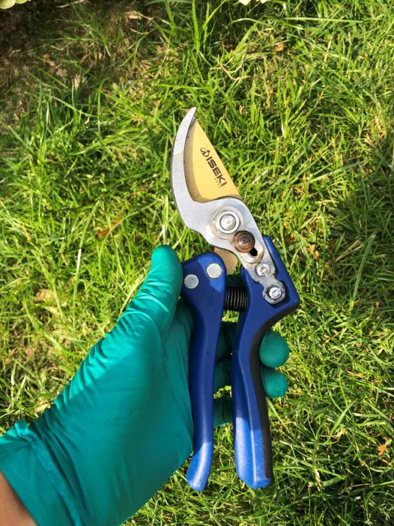 secateur iseki main 2