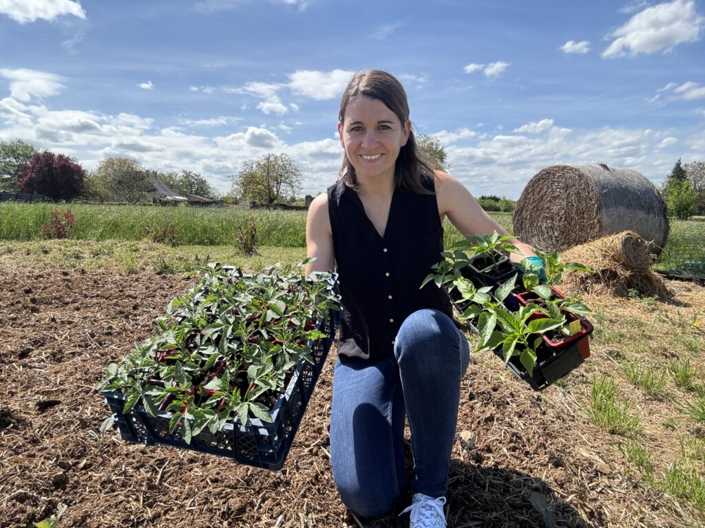Réussir son potager et éviter les erreurs: Questions Jardin mai 2026 avec Ouest-France