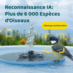 fontaine oiseaux birdfy 3