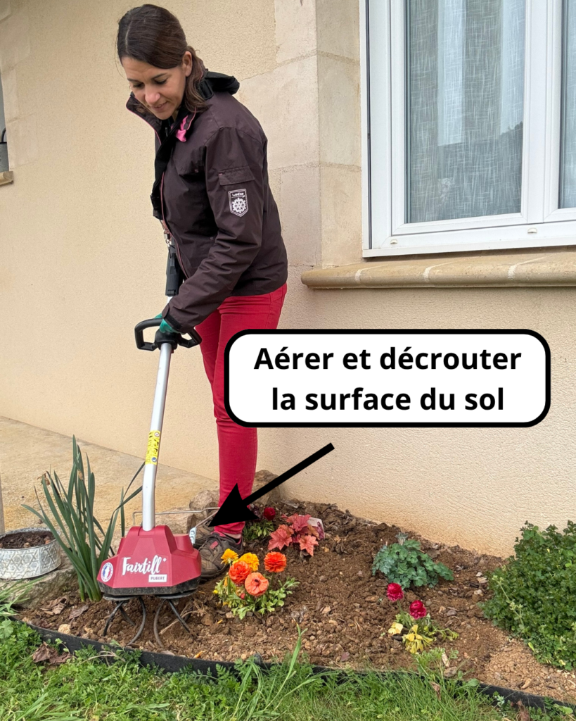 p2 publication 2 fairtill main verte marion