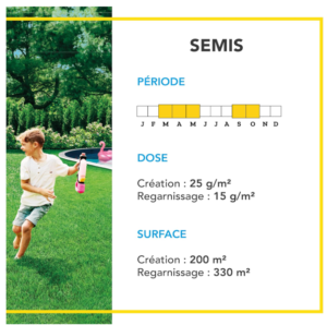 barenbrug gazon secheresse 4