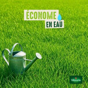 semences de gazon économe en eau